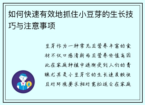 如何快速有效地抓住小豆芽的生长技巧与注意事项